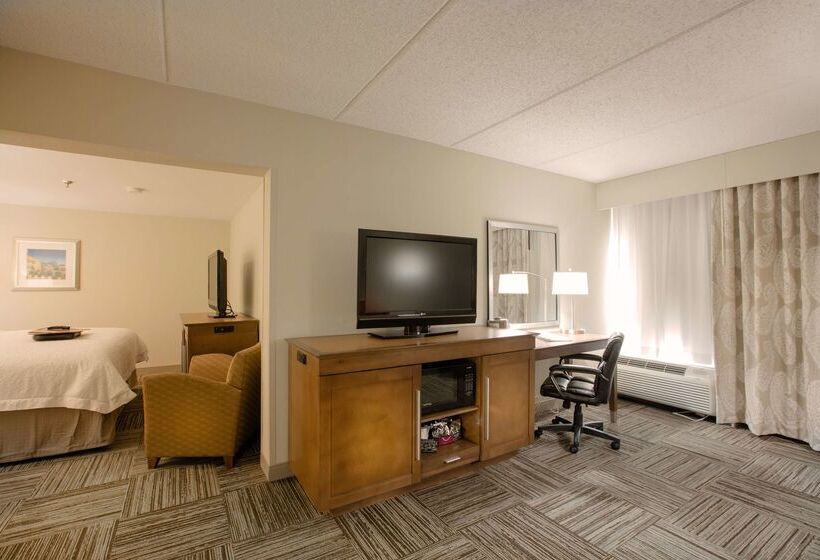 Отель Hampton Inn Atlantanorthlake