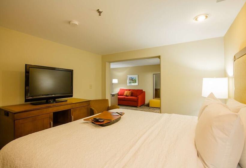 Отель Hampton Inn Atlantanorthlake