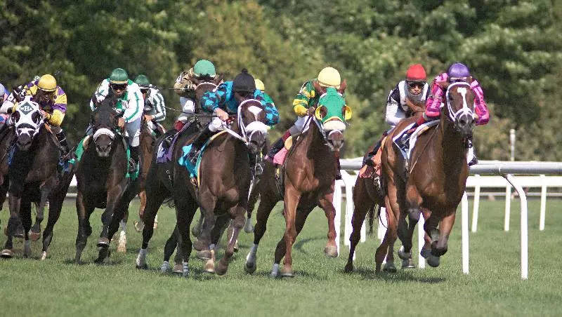 فندق Holiday Inn Saratoga Springs, An Ihg