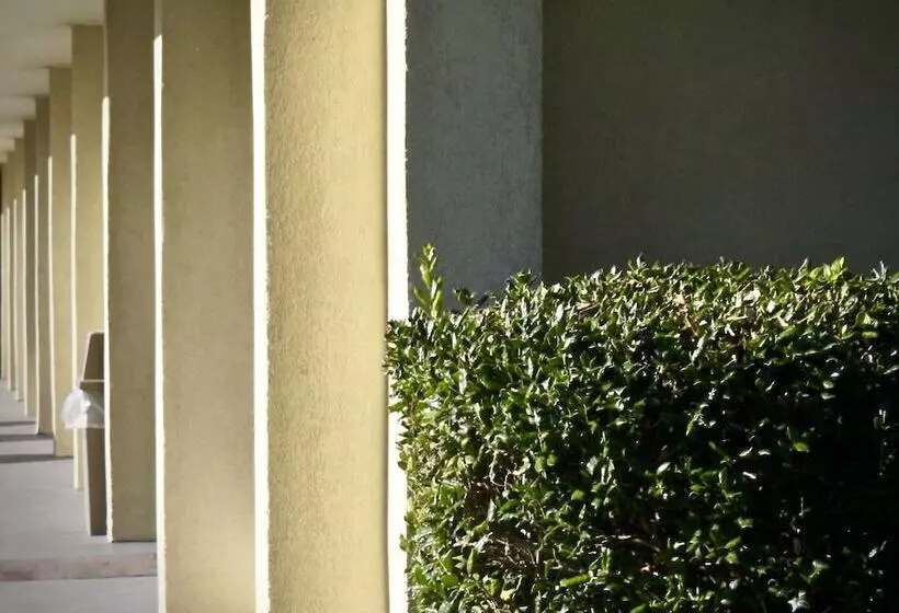 فندق Rodeway Inn