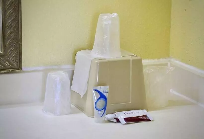 فندق Rodeway Inn