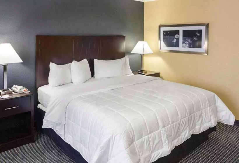 리조트 Quality Inn