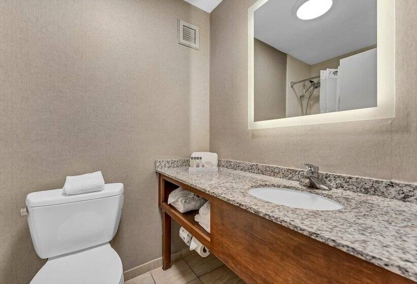 فندق Buffalo Airport