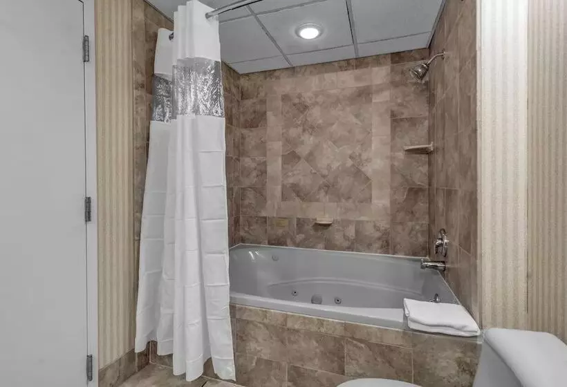 Otel Buffalo Airport