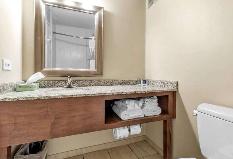 فندق Buffalo Airport