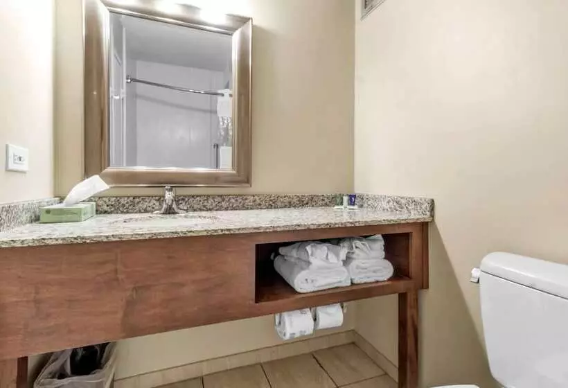 Otel Buffalo Airport