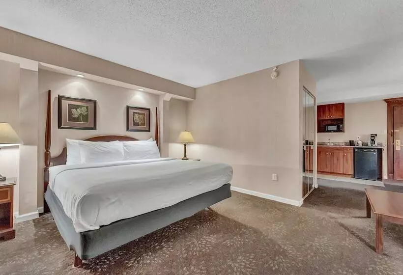 Otel Buffalo Airport