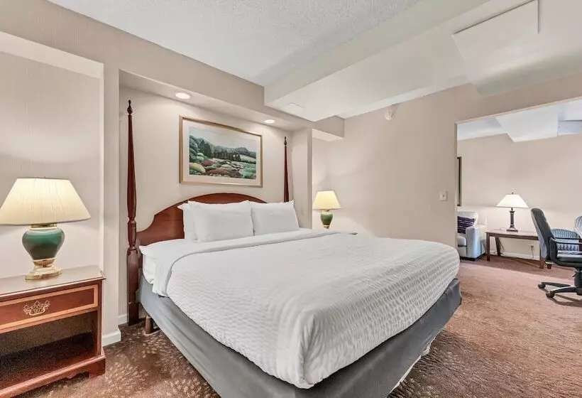 Otel Buffalo Airport