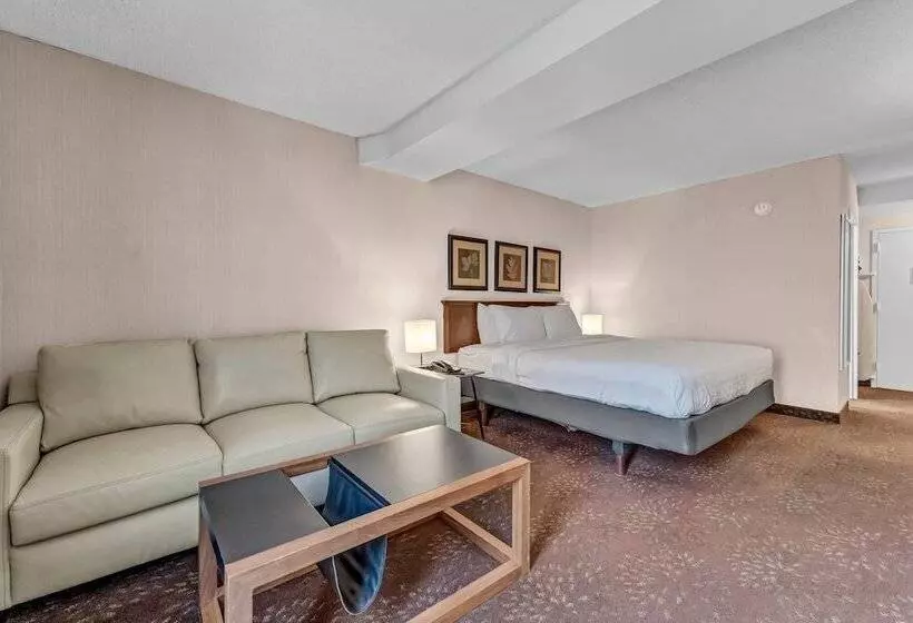 Otel Buffalo Airport