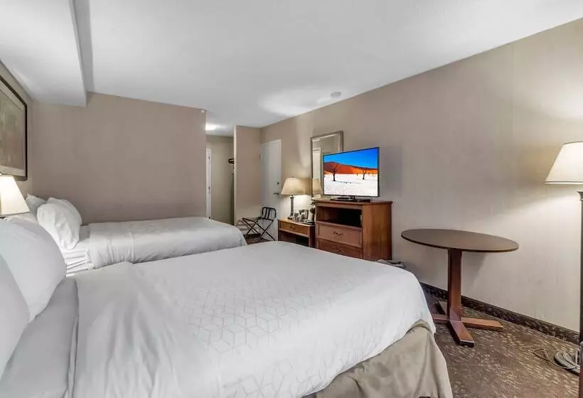 Otel Buffalo Airport