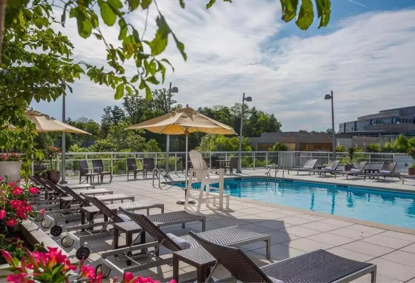 Hotel Courtyard By Marriott Bethesda Chevy Chase