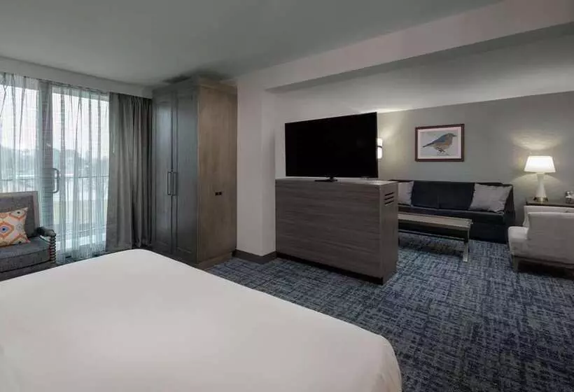 هتل Doubletree By Hilton Hot Springs