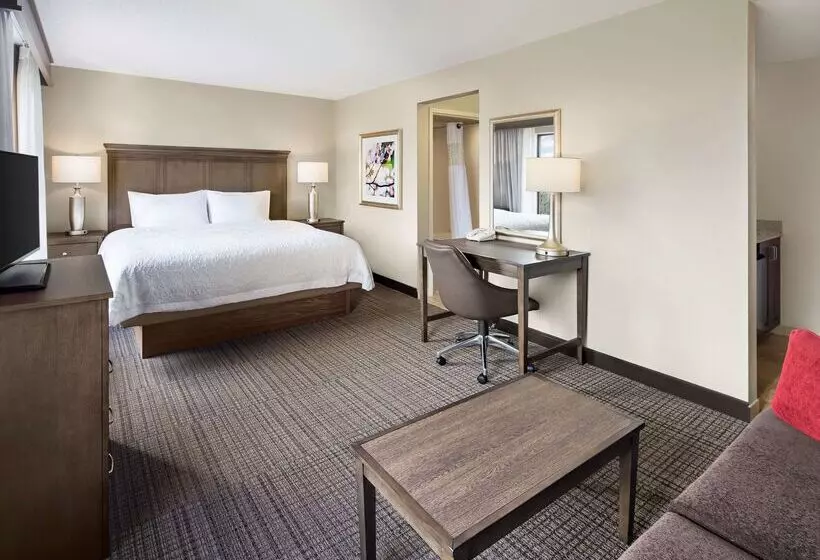 فندق Hampton Inn & Suites Alexandria Old Town Area South