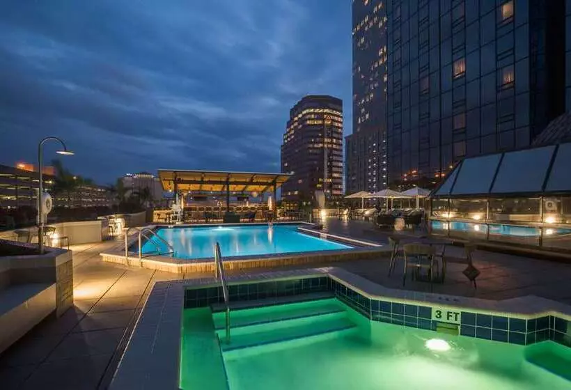 فندق Hilton Tampa Downtown