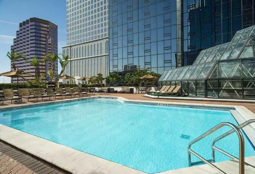 فندق Hilton Tampa Downtown