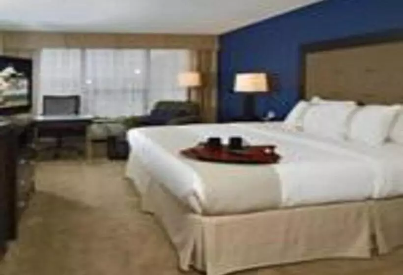 酒店 Holiday Inn Washington D.c.   Greenbelt Maryland, An Ihg