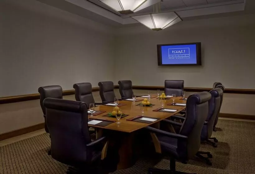 酒店 Hyatt Regency Lisle Near Naperville