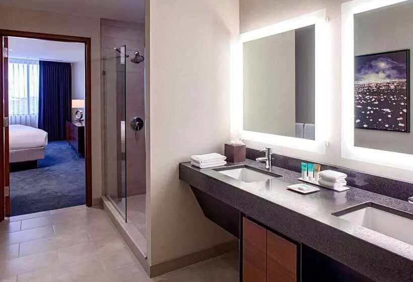 Отель Hyatt Regency Minneapolis