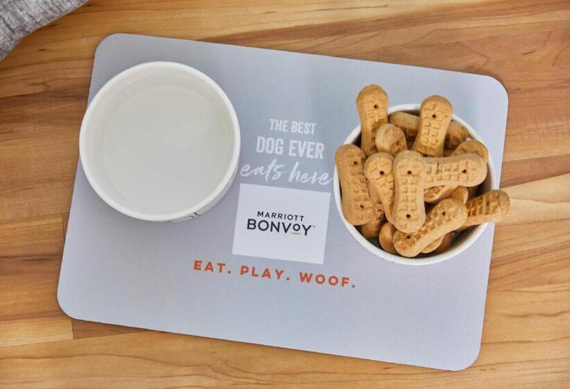 هتل Renaissance Charlotte Southpark