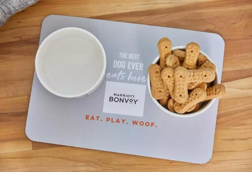 酒店 Renaissance Charlotte Southpark