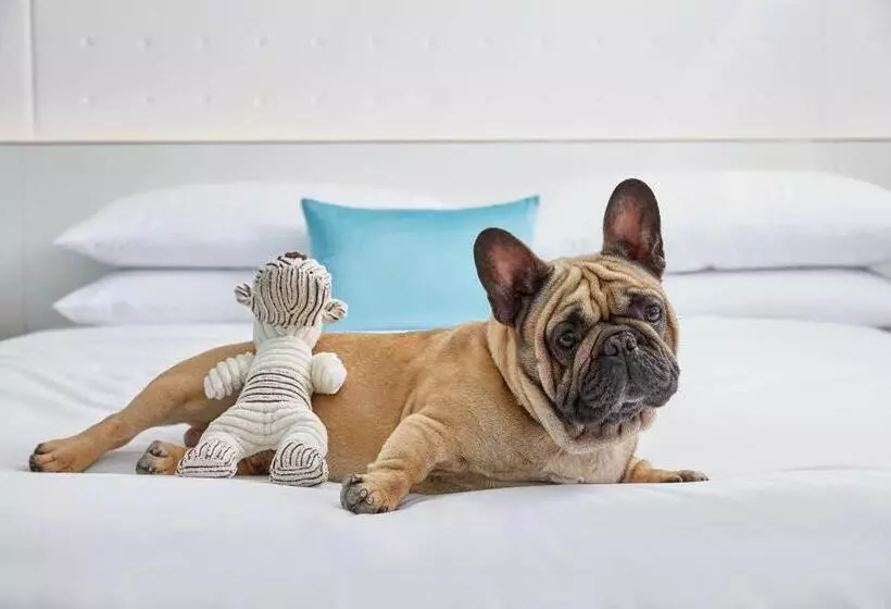 酒店 Renaissance Charlotte Southpark