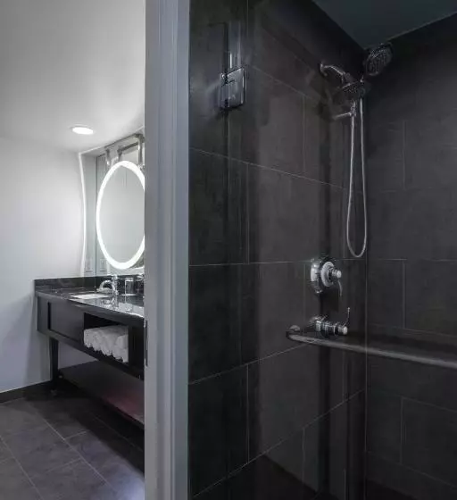 Отель The Baronette Renaissance Detroitnovi