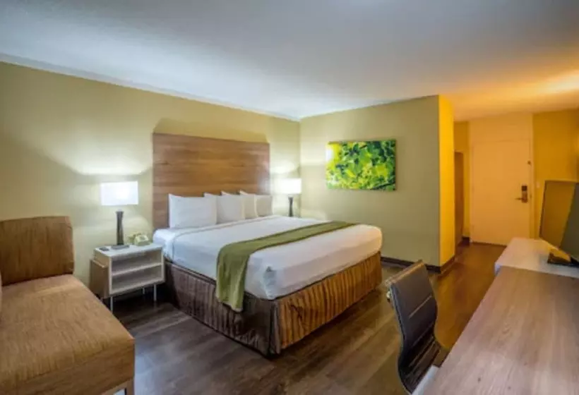 호텔 Wyndham Garden Washington Dc North