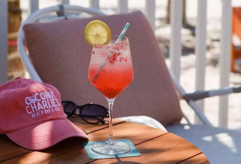 渡假胜地 Hilton Garden Inn St. Pete Beach