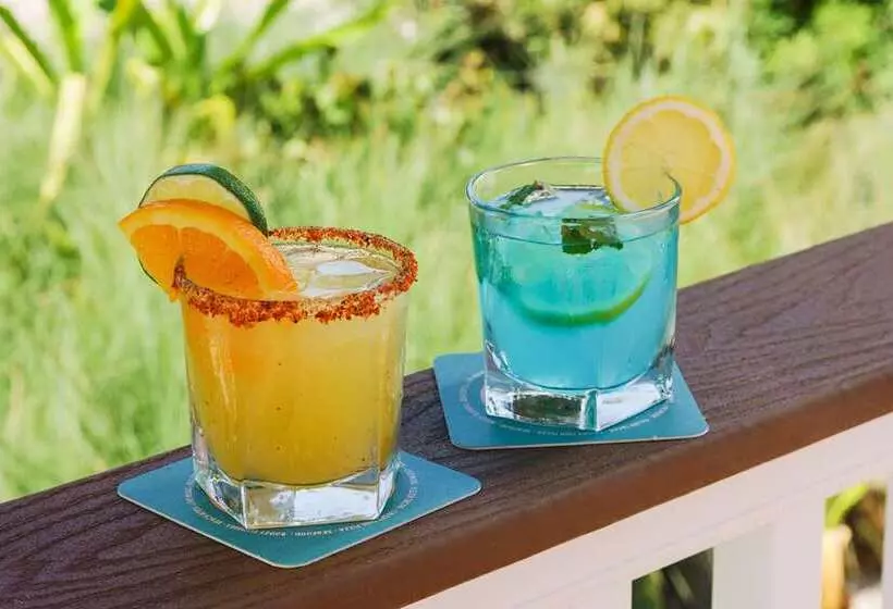 渡假胜地 Hilton Garden Inn St. Pete Beach