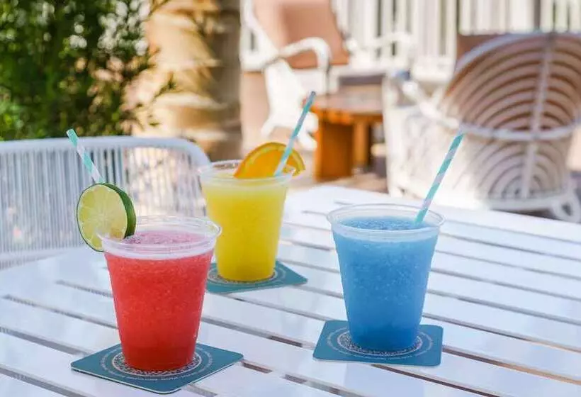 渡假胜地 Hilton Garden Inn St. Pete Beach