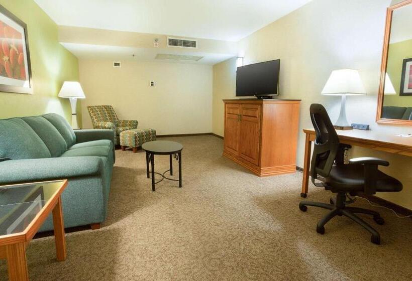 ホテル Drury Inn & Suites Mcallen