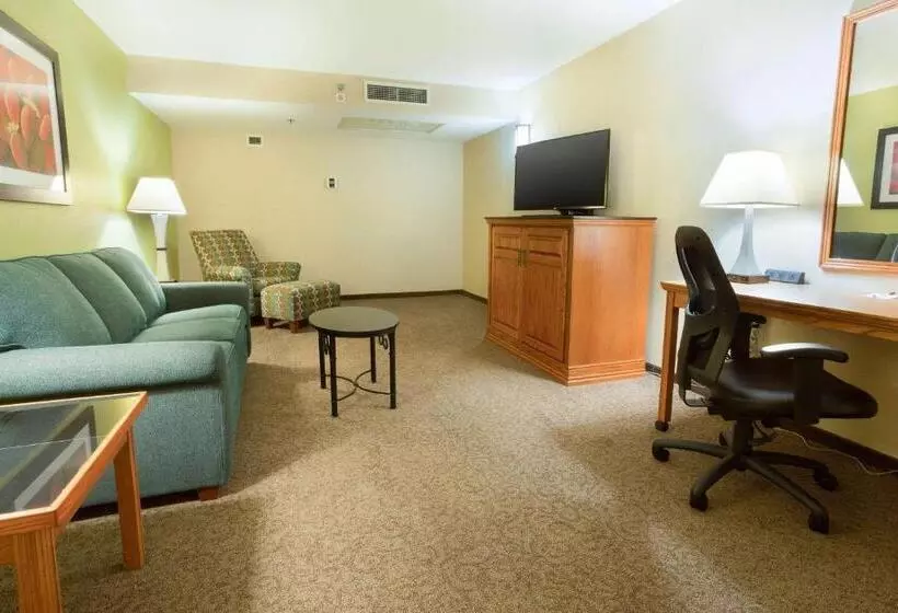 Hotel Drury Inn & Suites Mcallen
