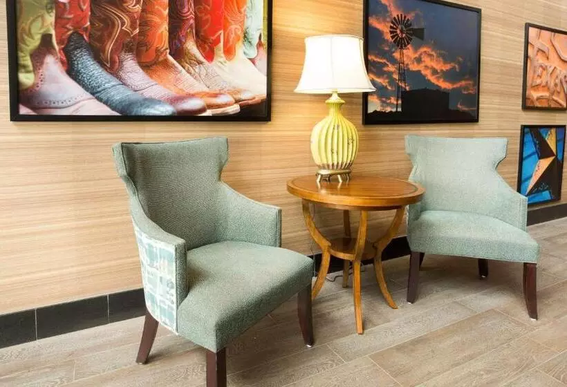 Hotel Drury Inn & Suites Mcallen
