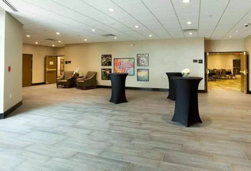 Hotel Drury Inn & Suites Mcallen