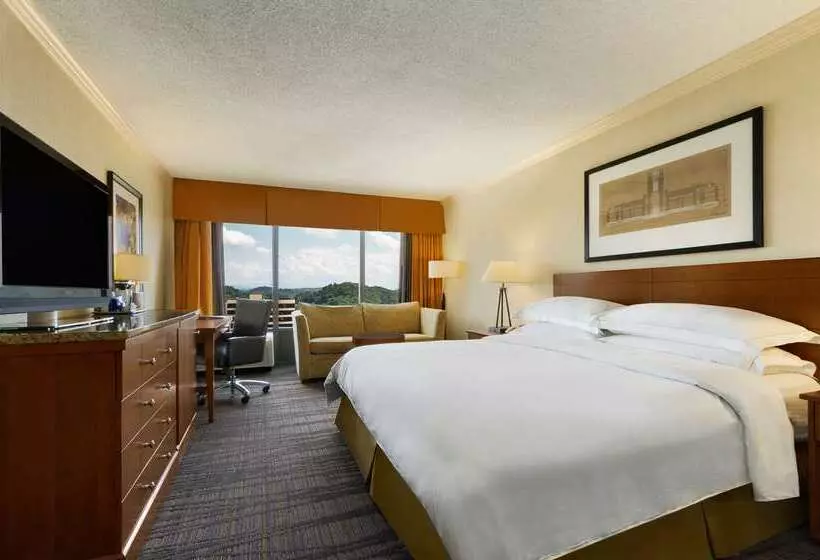 酒店 Hilton Knoxville
