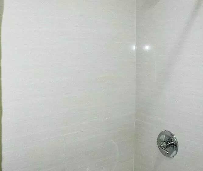 호텔 Stay Express Inn Dallas   Fair Park / Downtown