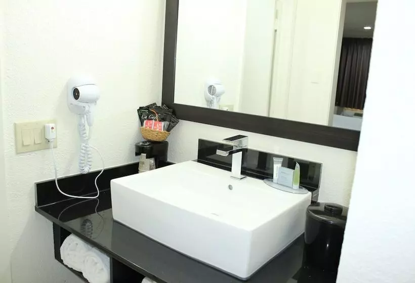 호텔 Stay Express Inn Dallas   Fair Park / Downtown