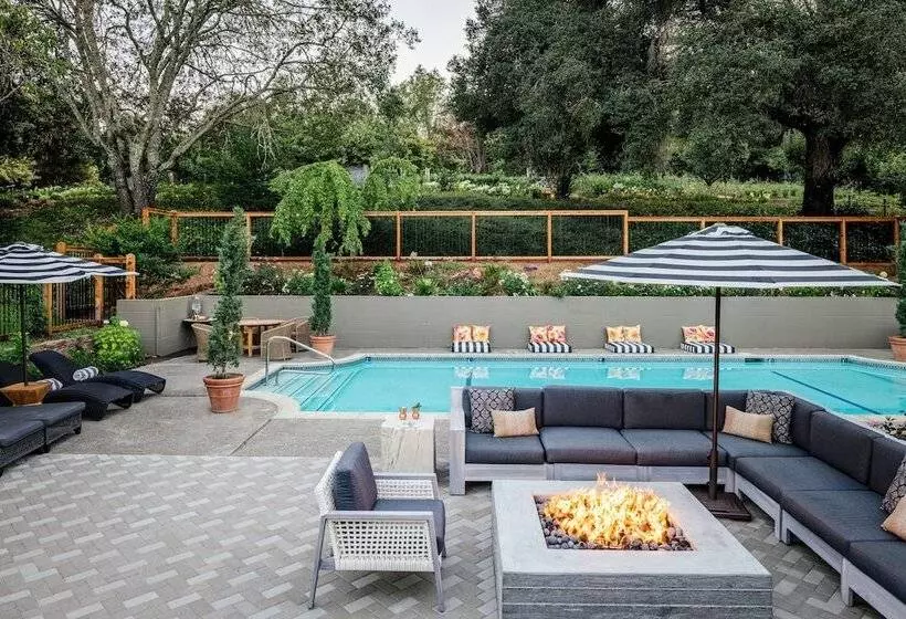 Отель The Madrona