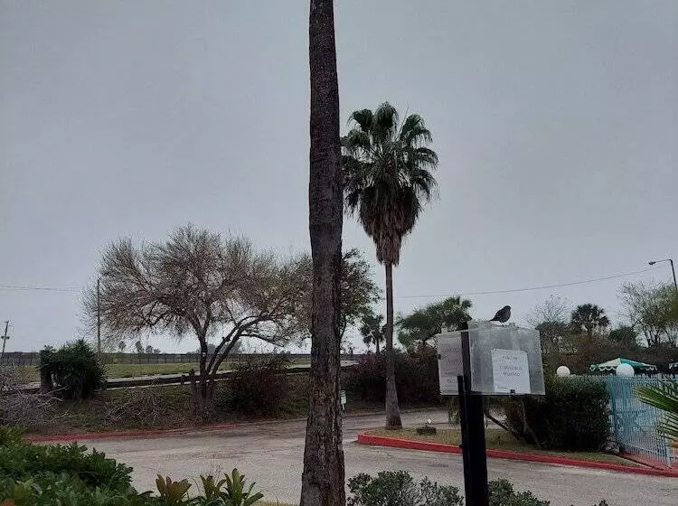 Отель University Inn & Suites