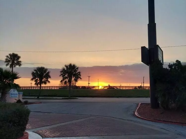 Отель University Inn & Suites