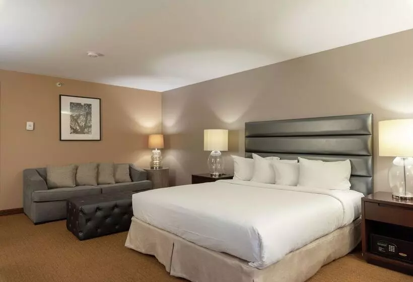 Hotel Doubletree By Hilton Bloomington Minneapolis South