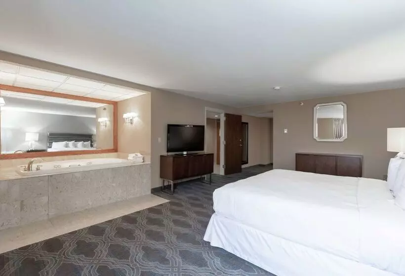 Hotel Doubletree By Hilton Bloomington Minneapolis South