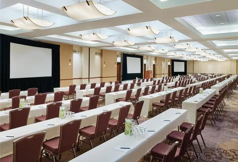 ホテル Doubletree By Hilton San Antonio Airport