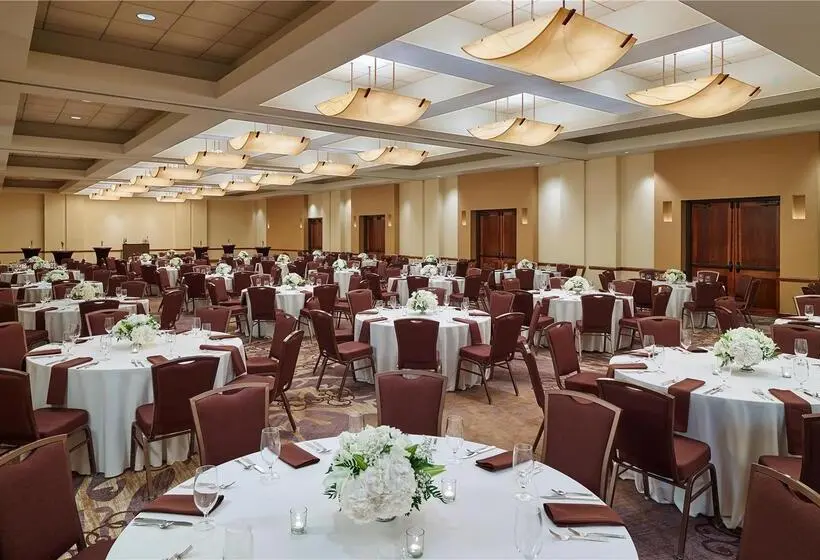 ホテル Doubletree By Hilton San Antonio Airport