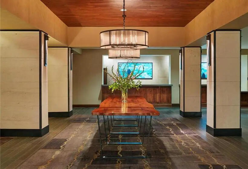 ホテル Doubletree By Hilton San Antonio Airport