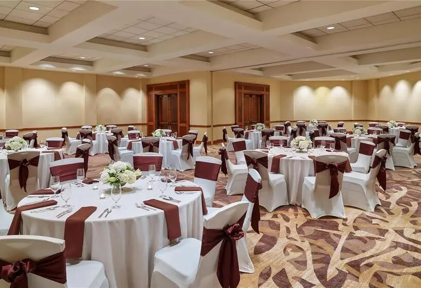 ホテル Doubletree By Hilton San Antonio Airport