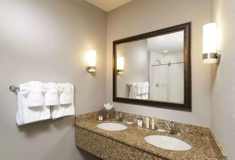 Doubletree By Hilton Hotel West Palm Beach Airport