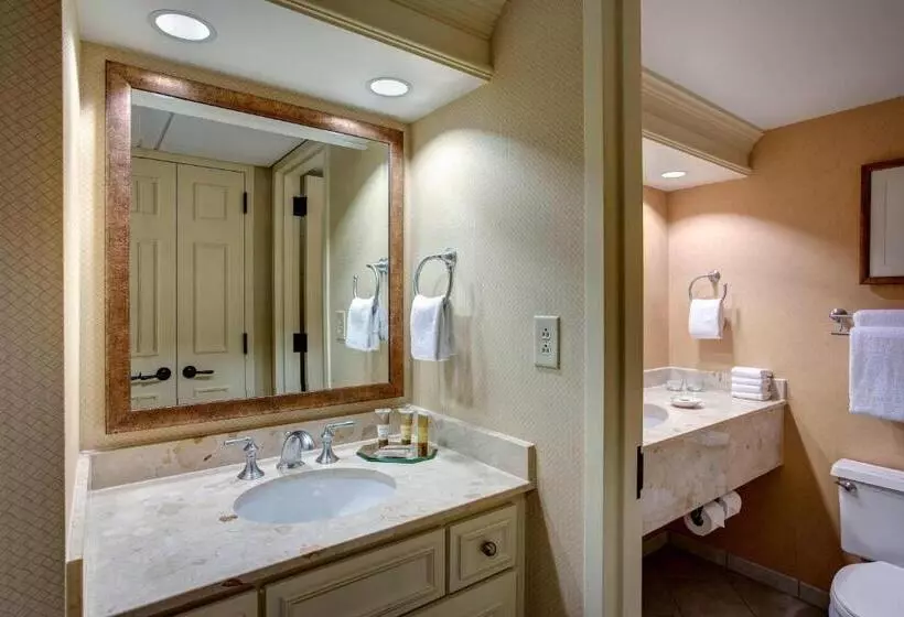 فندق Gaylord Opryland Resort & Convention Center