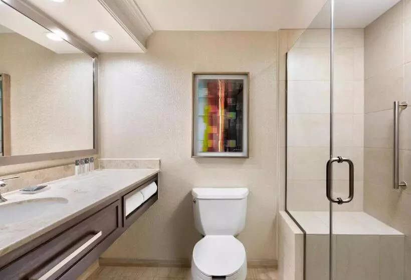 فندق Gaylord Opryland Resort & Convention Center