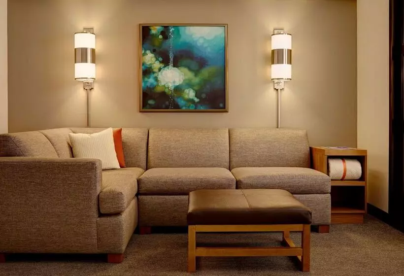 酒店 Hyatt Place Atlanta Downtown